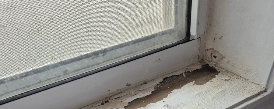 Water damage repair to walls and window frames, The Entrance North