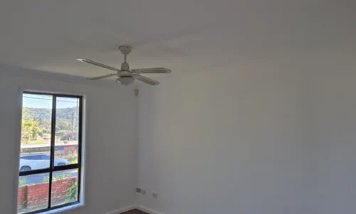 Full Plaster Repairs, Paint