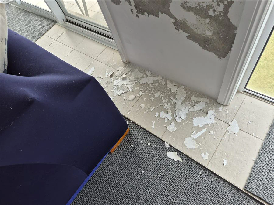 Water Damage Repair to Walls and Window Frames